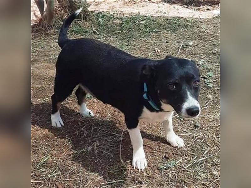 Fatima und Sevi - zwei ganz liebe Mädels