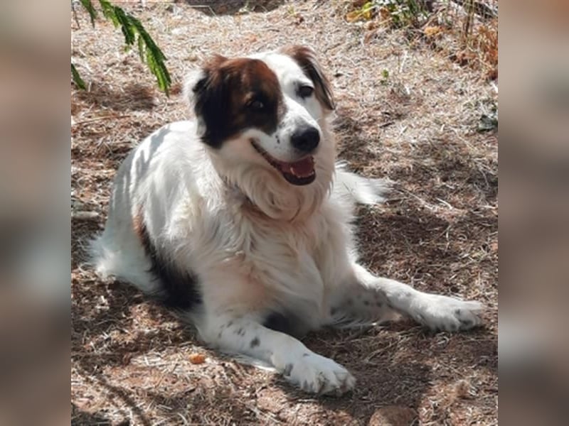 Fatima und Sevi - zwei ganz liebe Mädels