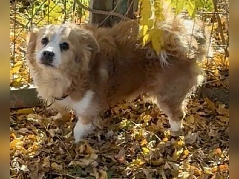 Dream Team Johnny und Max suchen gemeinsames Zuhause