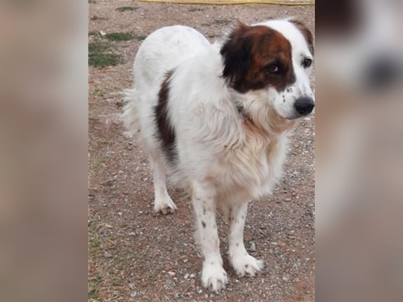 Fatima und Sevi - zwei ganz liebe Mädels