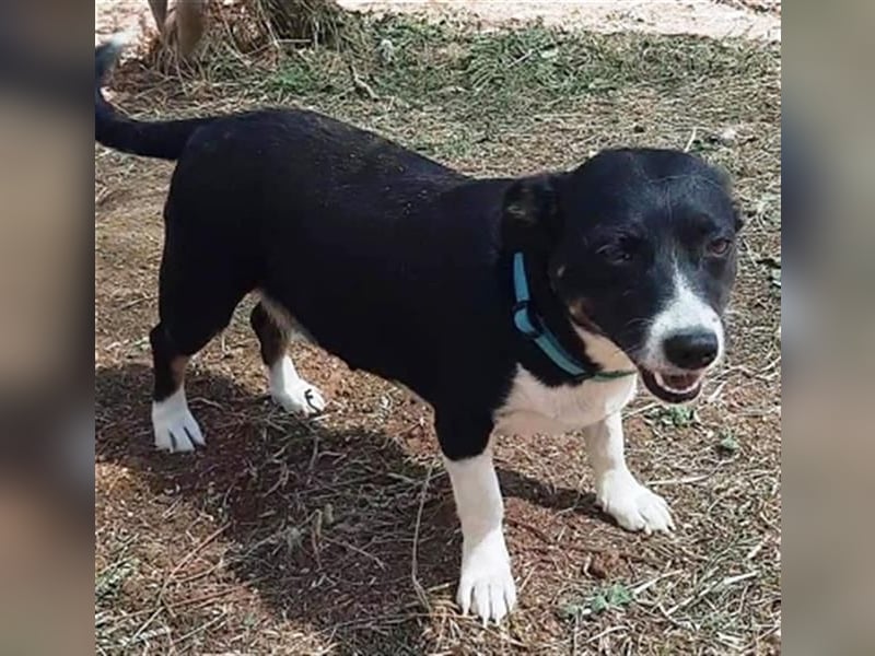 Fatima und Sevi - zwei ganz liebe Mädels