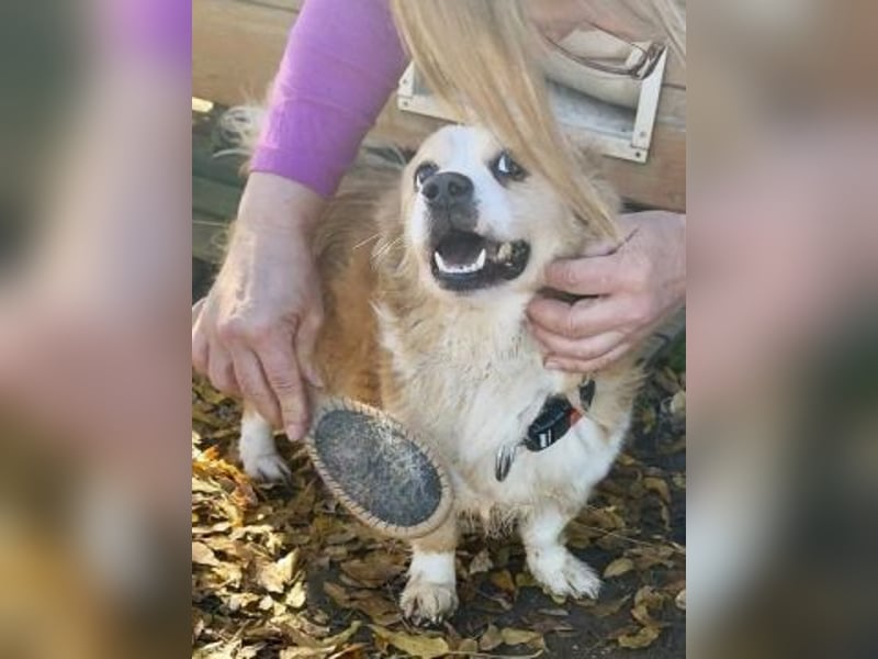 Dream Team Johnny und Max suchen gemeinsames Zuhause