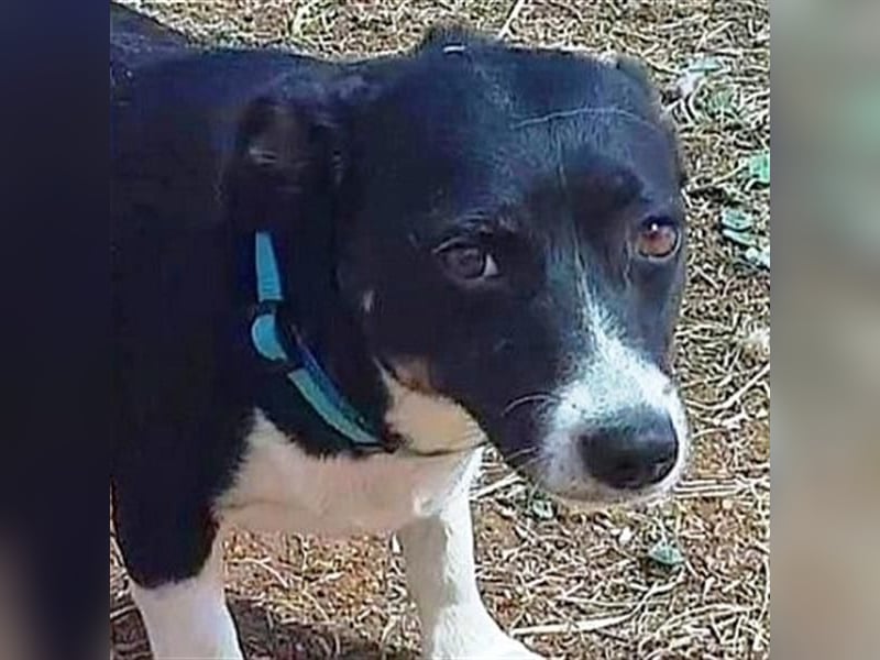 Fatima und Sevi - zwei ganz liebe Mädels