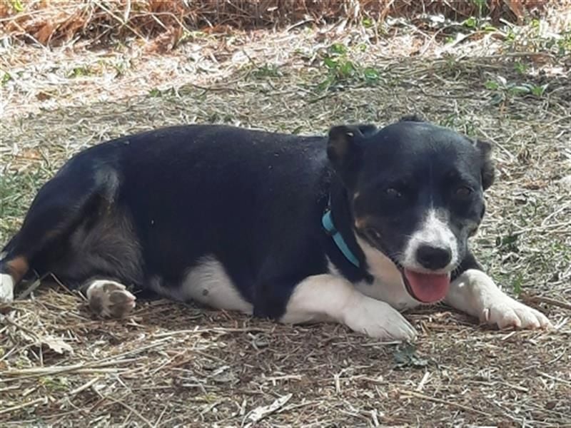 Fatima und Sevi - zwei ganz liebe Mädels