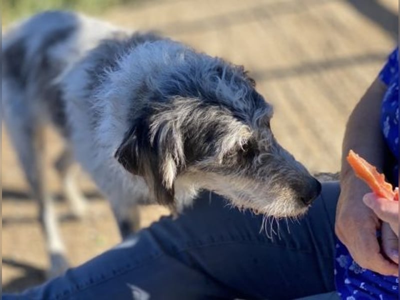 Cookie und Maya - Tochter/Mutter Dream Team