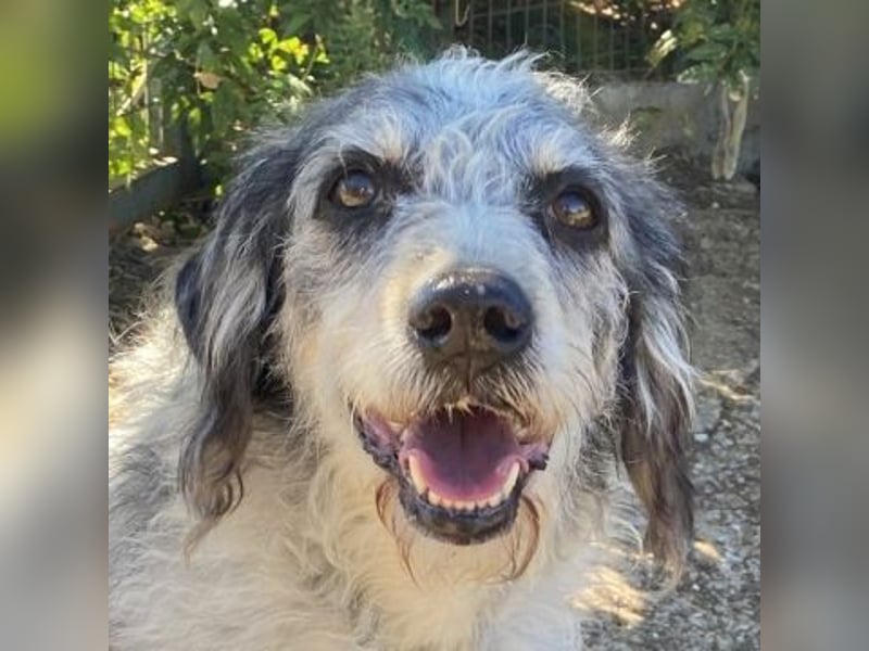 Cookie und Maya - Tochter/Mutter Dream Team