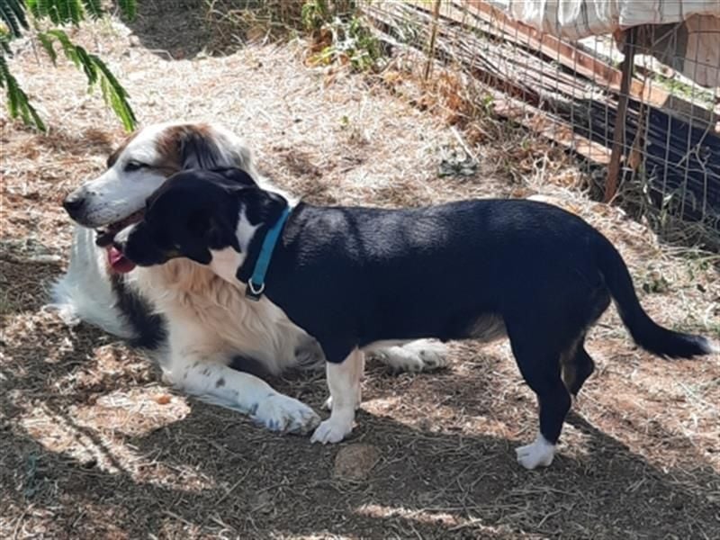 Fatima und Sevi - zwei ganz liebe Mädels
