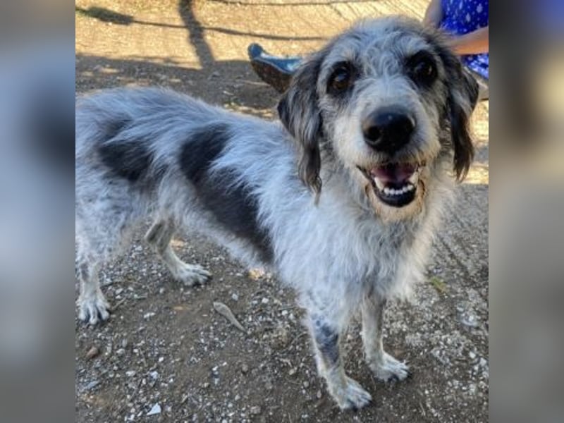 Cookie und Maya - Tochter/Mutter Dream Team