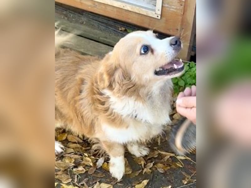 Dream Team Johnny und Max suchen gemeinsames Zuhause