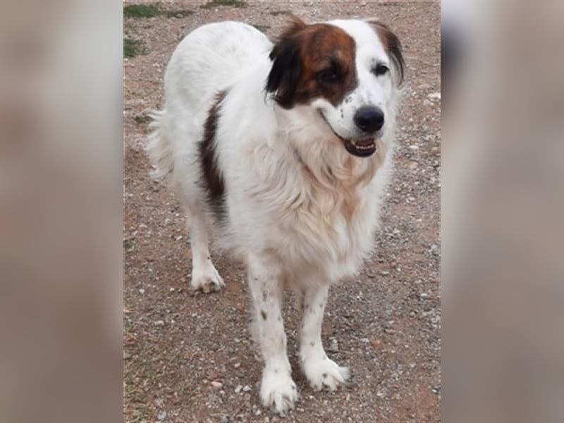 Fatima und Sevi - zwei ganz liebe Mädels