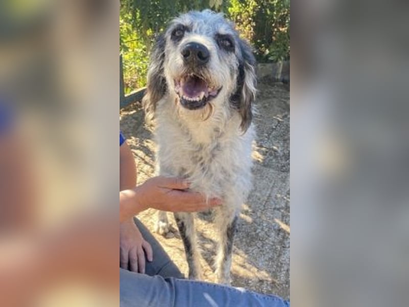 Cookie und Maya - Tochter/Mutter Dream Team