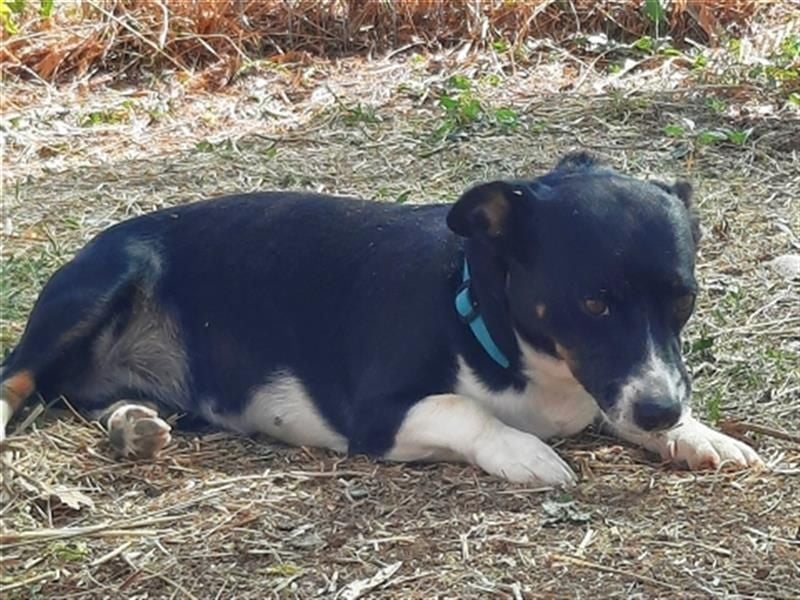 Fatima und Sevi - zwei ganz liebe Mädels