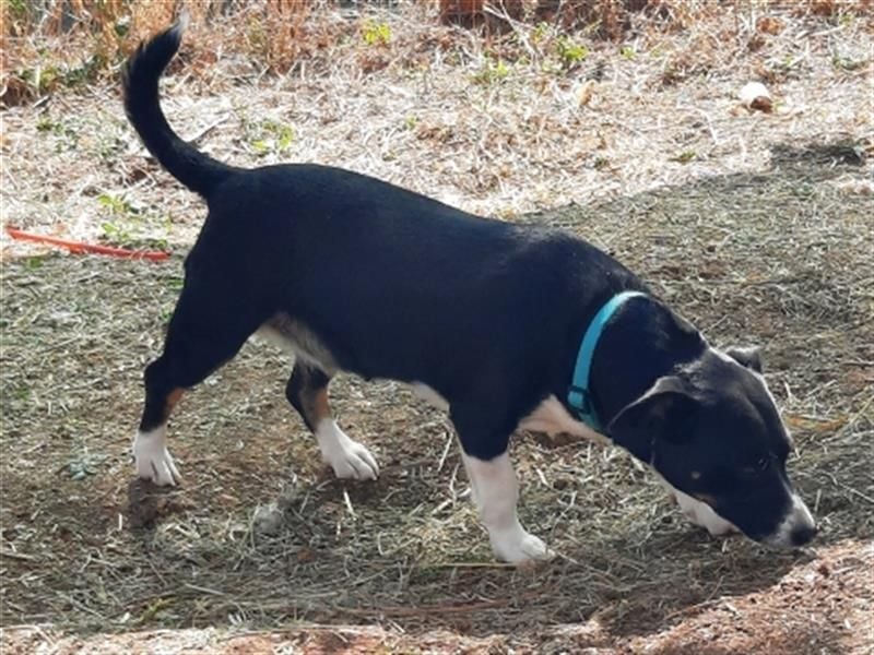 Fatima und Sevi - zwei ganz liebe Mädels
