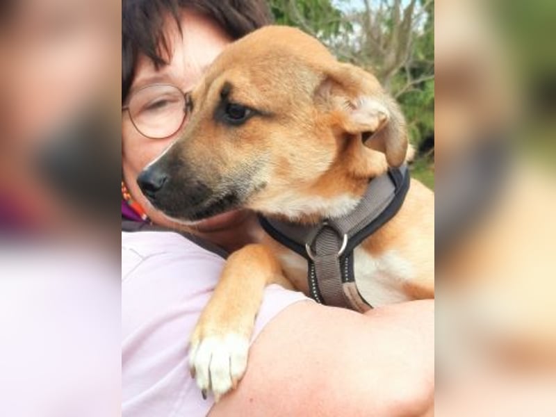 Eric - kleiner Racker sucht Familienanschluss Eric - kleiner Racker sucht Familienanschluss