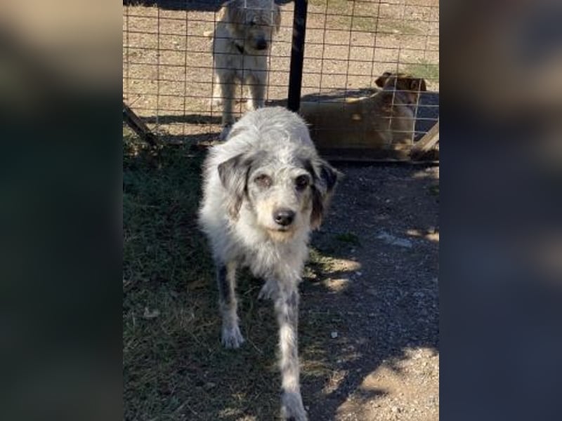 Cookie und Maya - Tochter/Mutter Dream Team