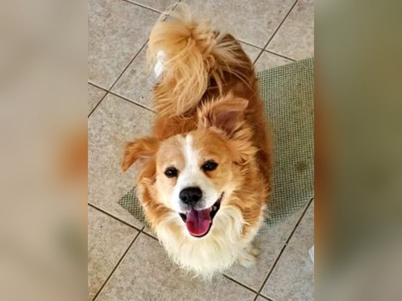 Dream Team Johnny und Max suchen gemeinsames Zuhause