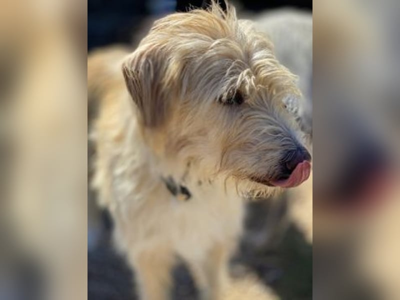 Cookie und Maya - Tochter/Mutter Dream Team