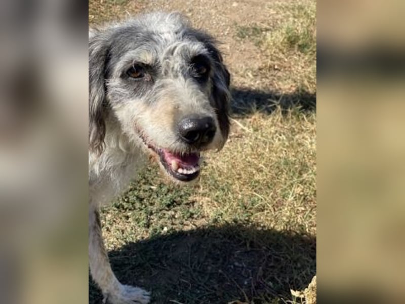 Cookie und Maya - Tochter/Mutter Dream Team