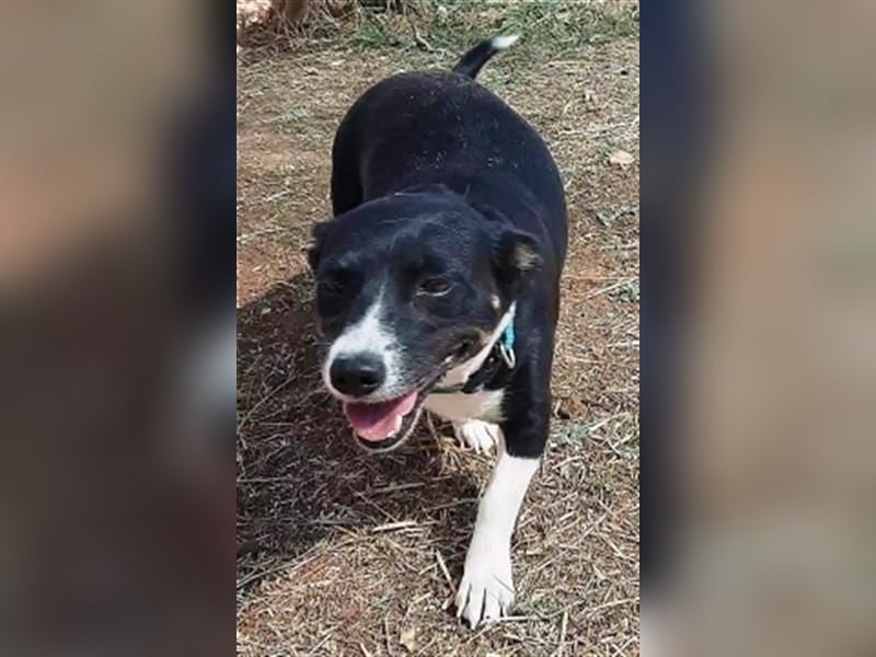 Fatima und Sevi - zwei ganz liebe Mädels