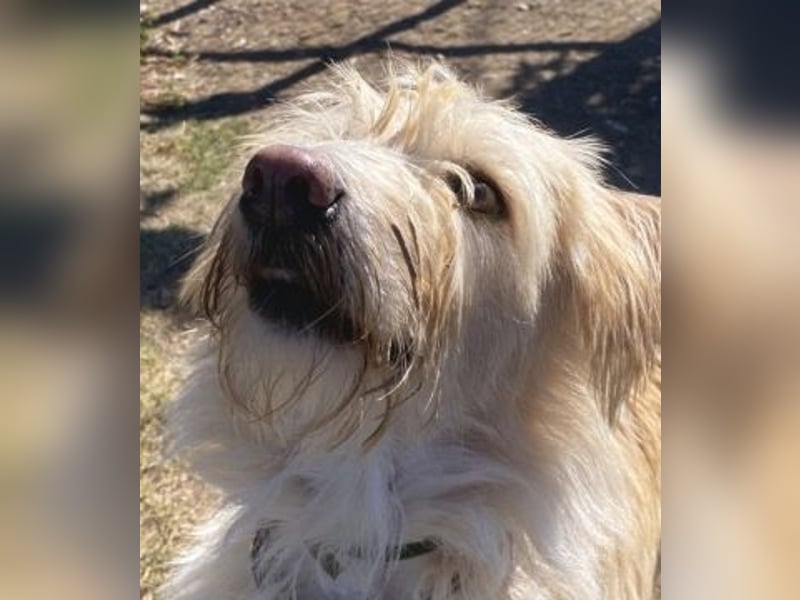 Cookie und Maya - Tochter/Mutter Dream Team