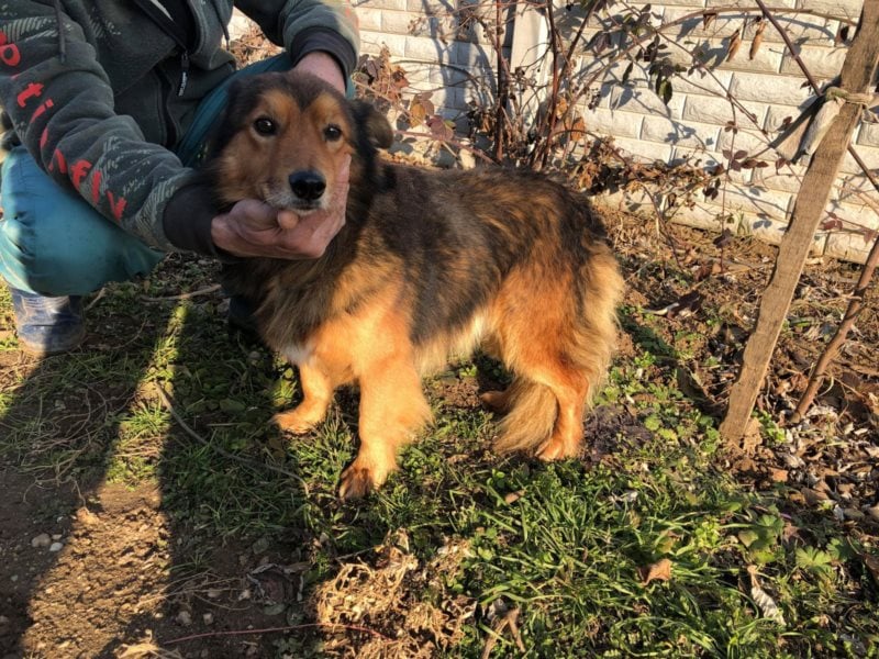 Unser Benny wünscht sich seine eigene Familie
