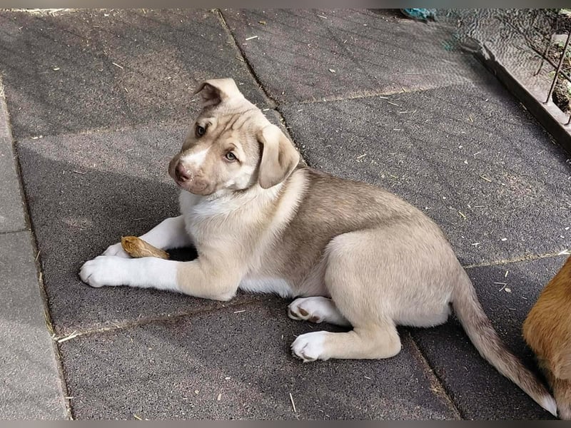 *RESERVIERT*Finn kleiner Lausbub