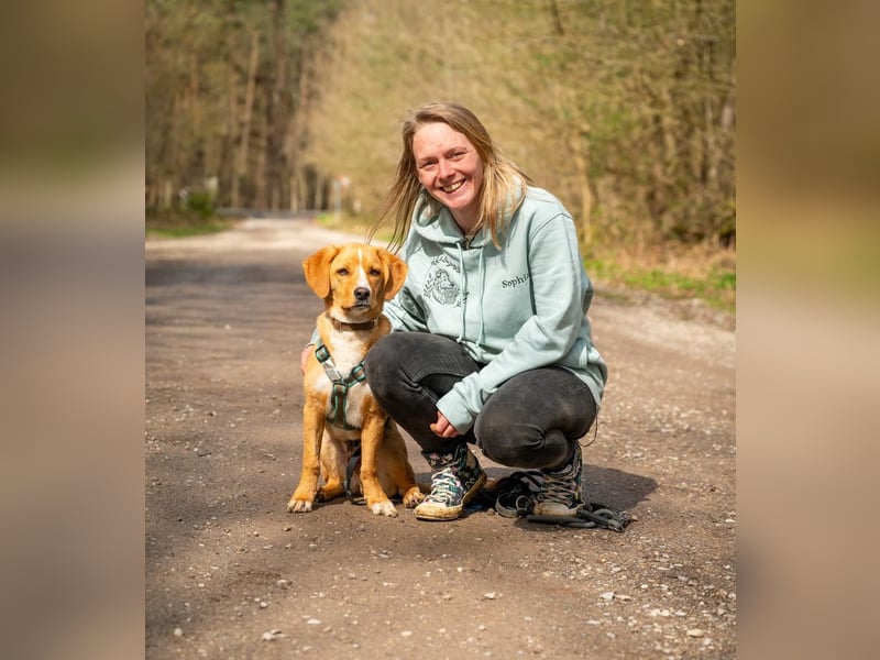 Duke wartet in 41379 Brüggen