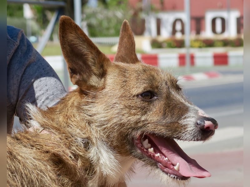 Nadia, lernwillig, offen, freundlich