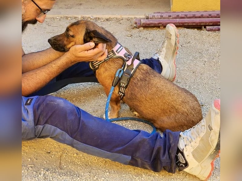 Matilde, verschmust, freundlich und offen
