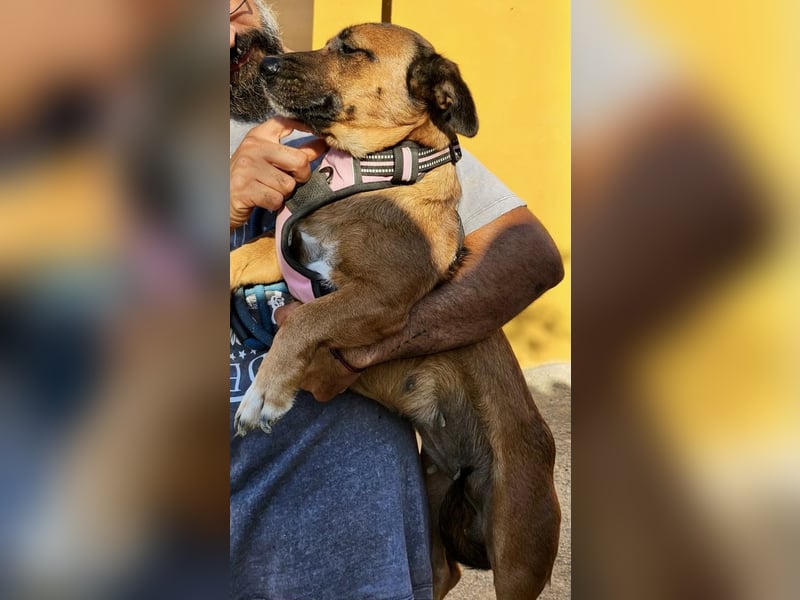 Matilde, verschmust, freundlich und offen