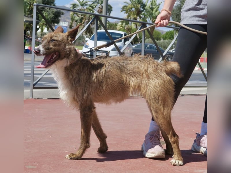 Nadia, lernwillig, offen, freundlich