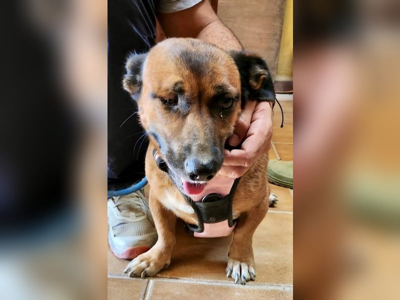 Matilde, verschmust, freundlich und offen