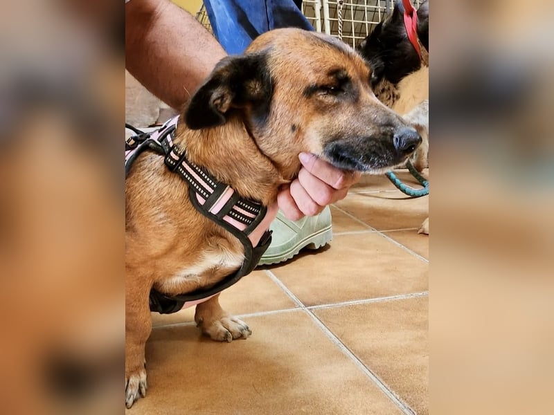 Matilde, verschmust, freundlich und offen