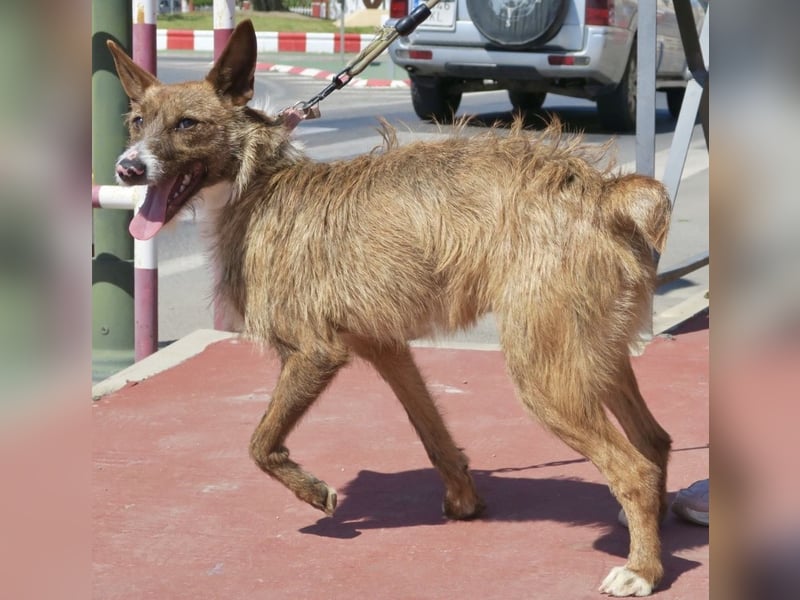 Nadia, lernwillig, offen, freundlich