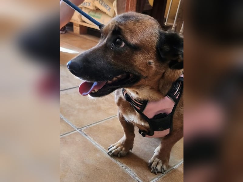 Matilde, verschmust, freundlich und offen