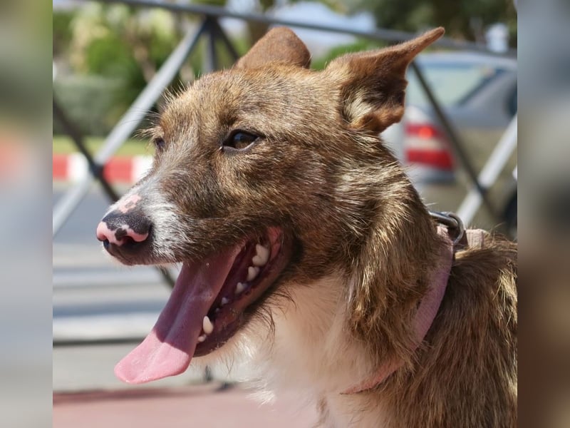 Nadia, lernwillig, offen, freundlich