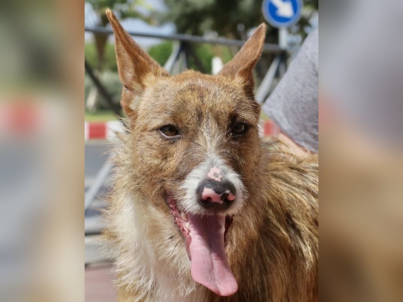 Nadia, lernwillig, offen, freundlich