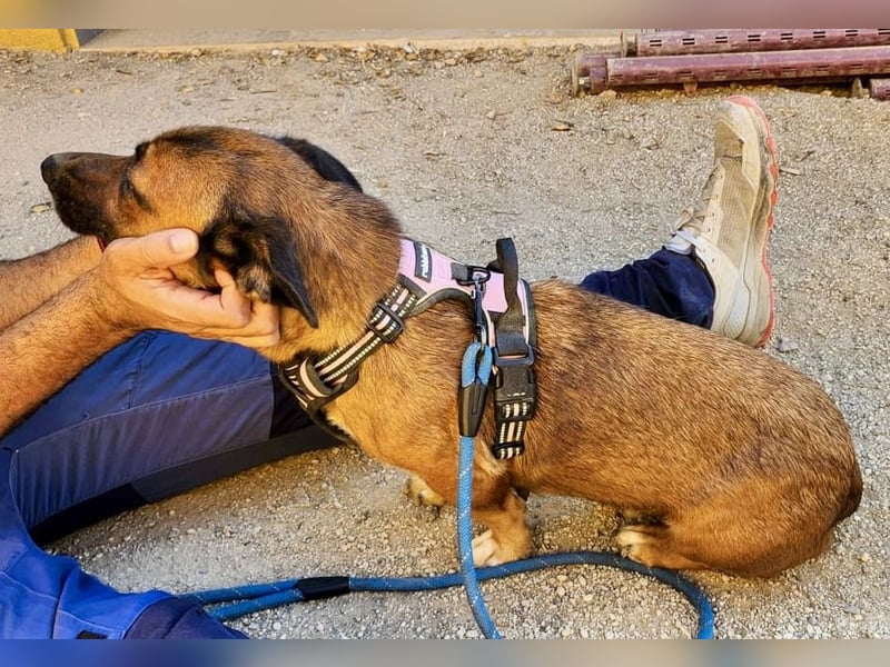Matilde, verschmust, freundlich und offen