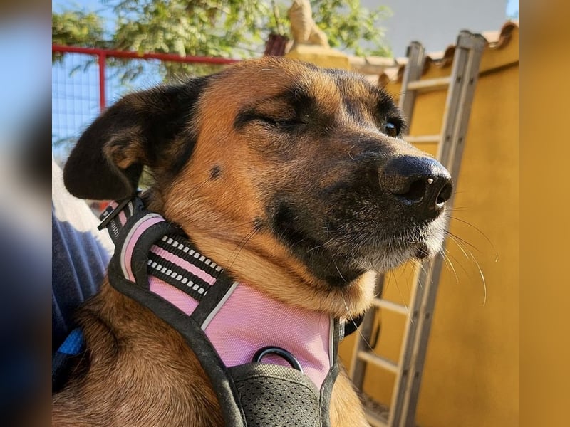 Matilde, verschmust, freundlich und offen