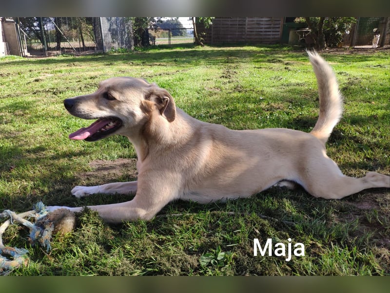Maja, zierlich und hübsch und trotzdem alleine