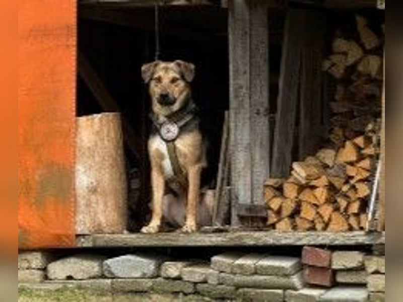 Huhu, ich bin Ike und bin auf der Suche nach lieben Menschen