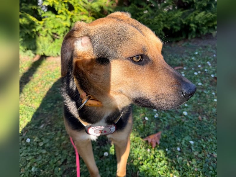 Huhu, ich bin Ike und bin auf der Suche nach lieben Menschen