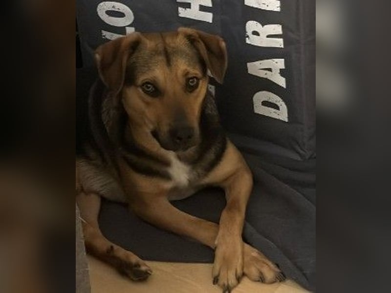 Huhu, ich bin Ike und bin auf der Suche nach lieben Menschen