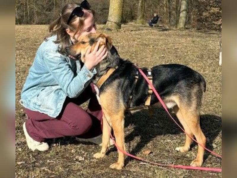 Huhu, ich bin Ike und bin auf der Suche nach lieben Menschen