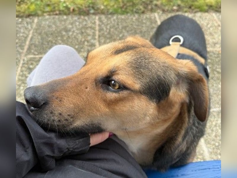 Huhu, ich bin Ike und bin auf der Suche nach lieben Menschen