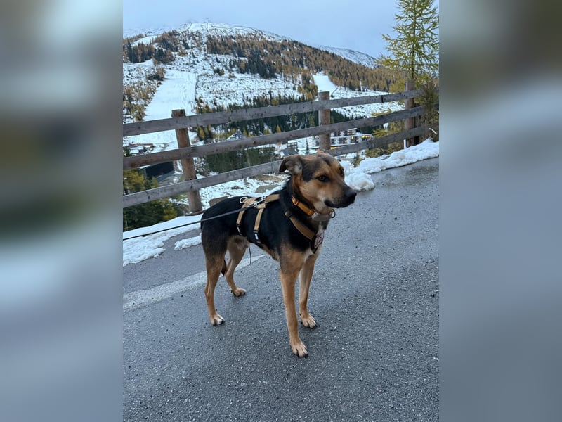 Huhu, ich bin Ike und bin auf der Suche nach lieben Menschen