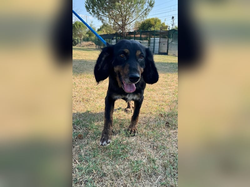 Paco