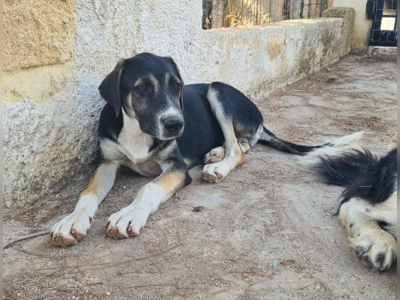 Moro