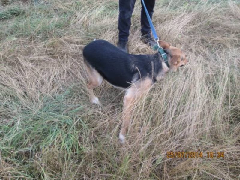 Ich möchte so gerne wieder den Menschen vertrauen... 