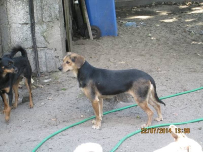 Ich möchte so gerne wieder den Menschen vertrauen... 